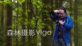 驱逐城堡入侵者选关版